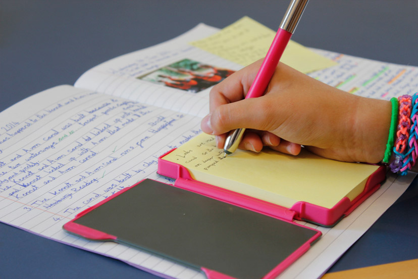 Pink-School-work-web